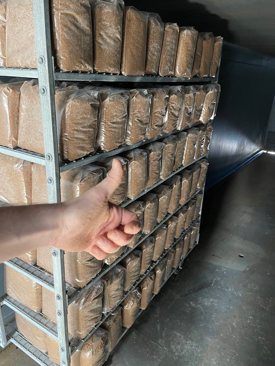 Premium Organic Lion's Mane Mushroom Powder - 100% USA Grown in Tennessee - fruiting bodies only, no mycelium