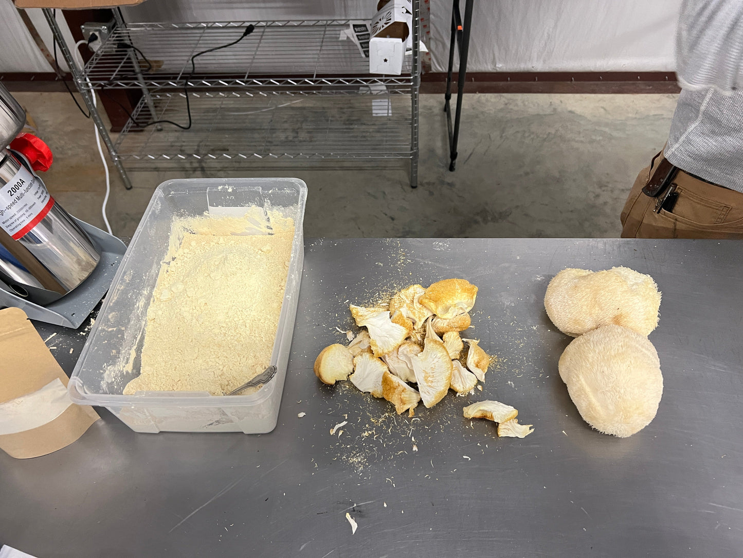 Premium Organic Lion's Mane Mushroom dried in bulk - 100% USA Grown in Tennessee - fruiting bodies only, no mycelium