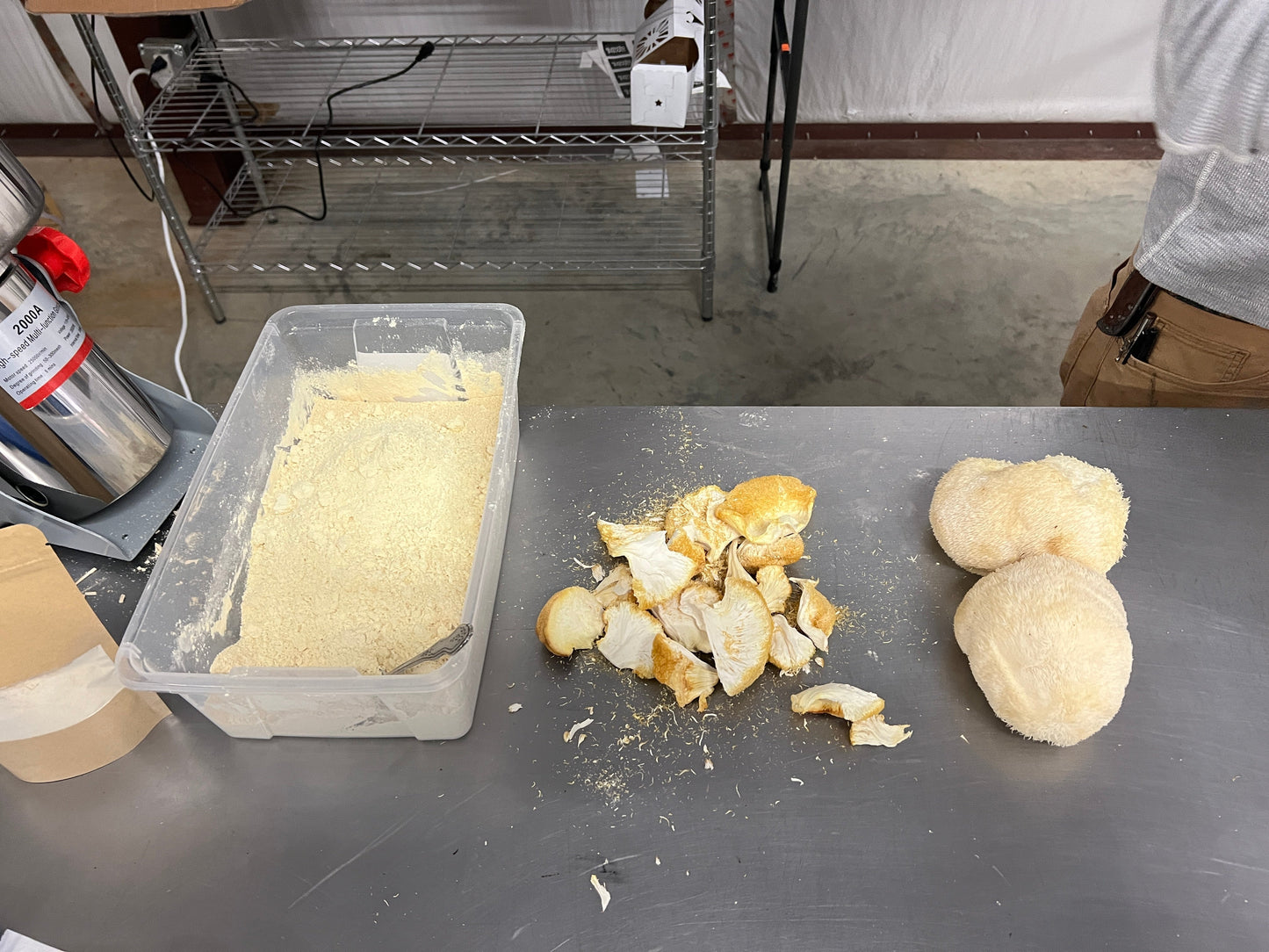 Premium Organic Lion's Mane Mushroom Powder - 100% USA Grown in Tennessee - fruiting bodies only, no mycelium