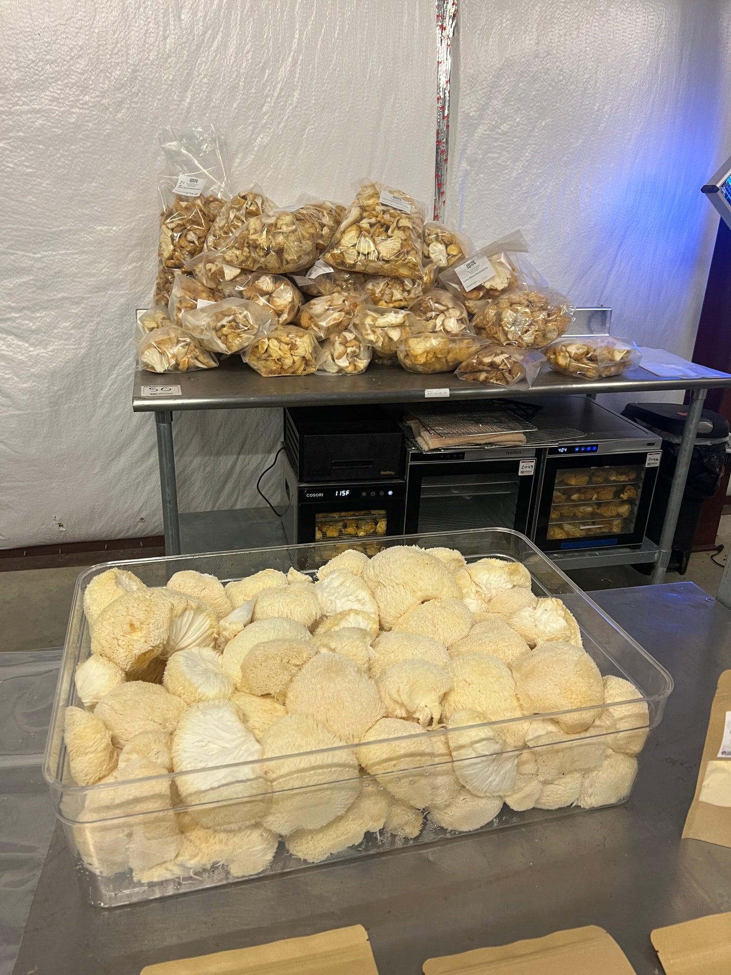 Premium Organic Lion's Mane Mushroom Powder - 100% USA Grown in Tennessee - fruiting bodies only, no mycelium