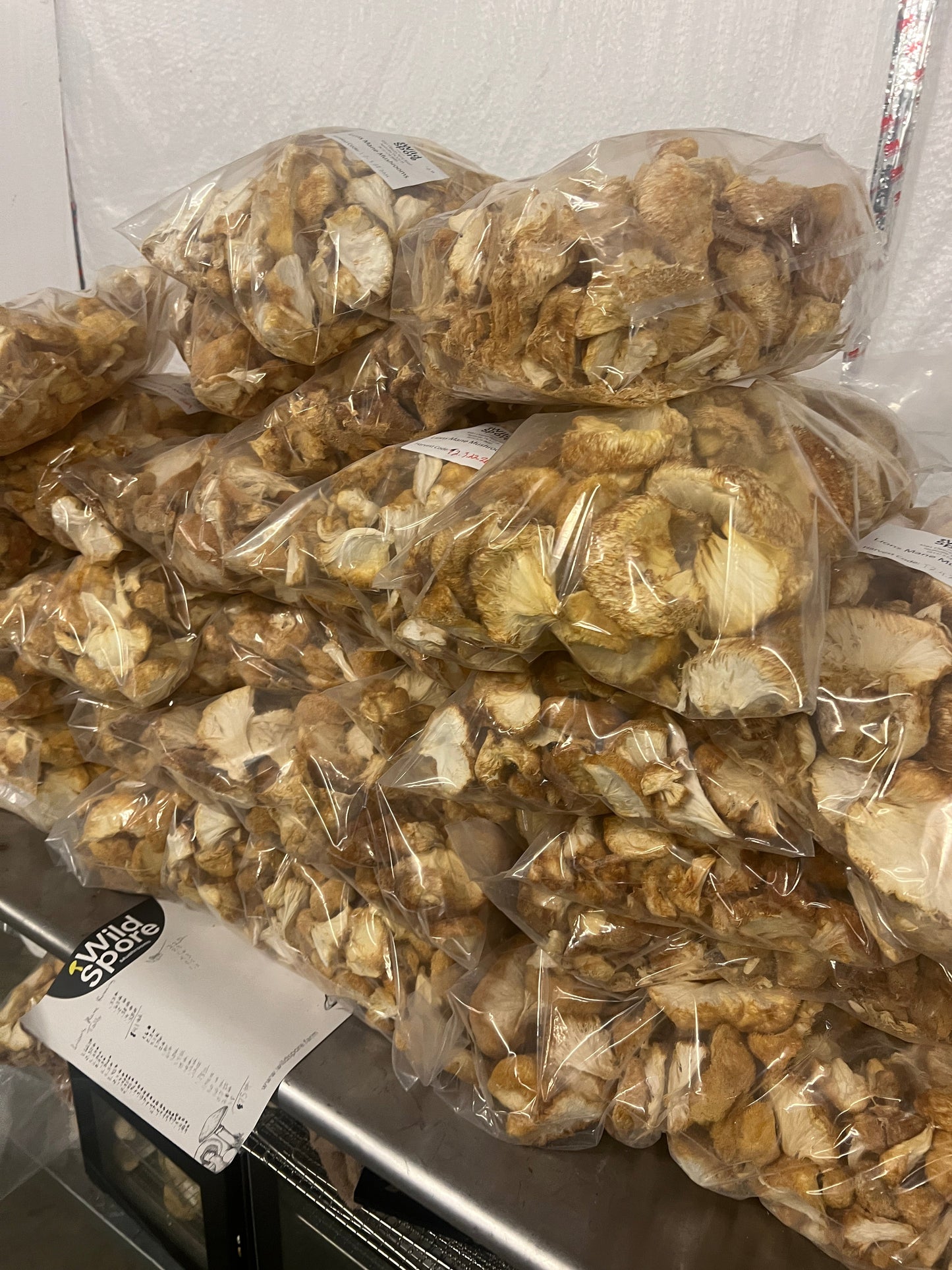 Organic Lions Mane Mushroom Tincture